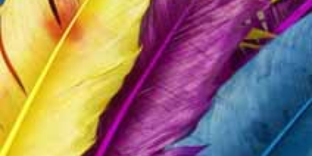 Vicky_Cossi's profile banner image