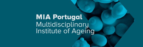 _MIA_Portugal Profile Banner