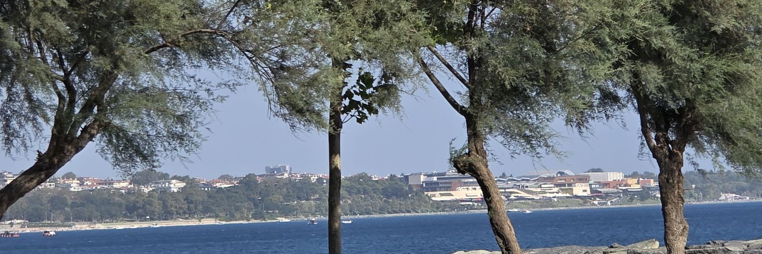 mulltefittt's profile banner image