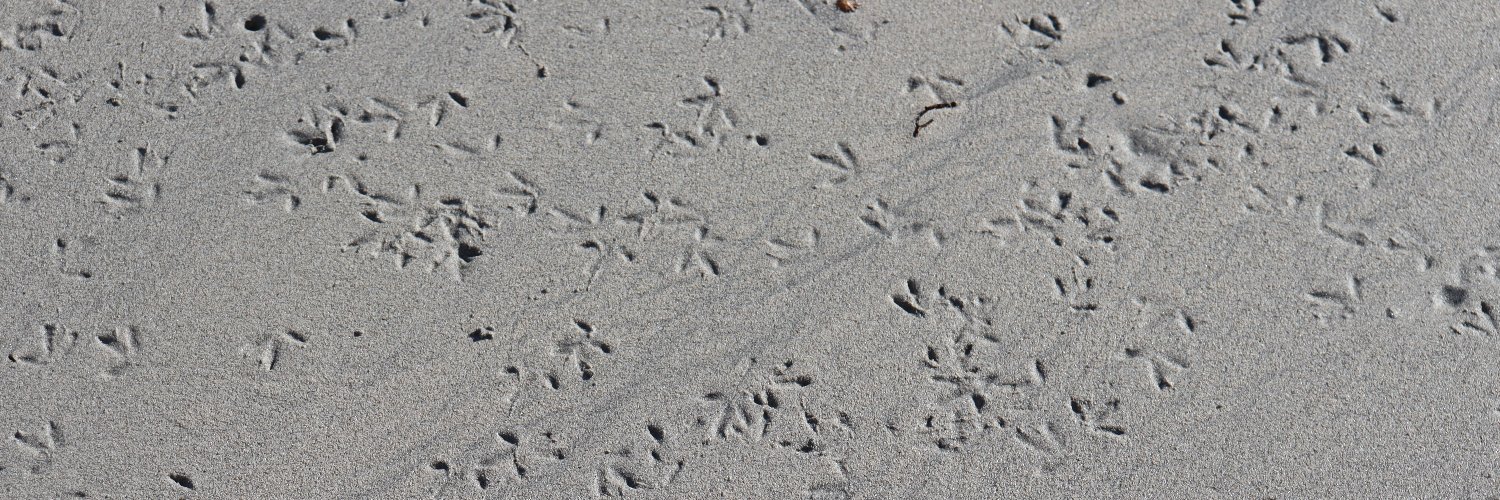 Risteárd Ó hAodha banner