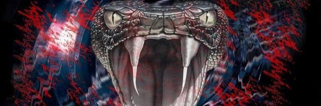 OG Player(OGプレイヤー) banner