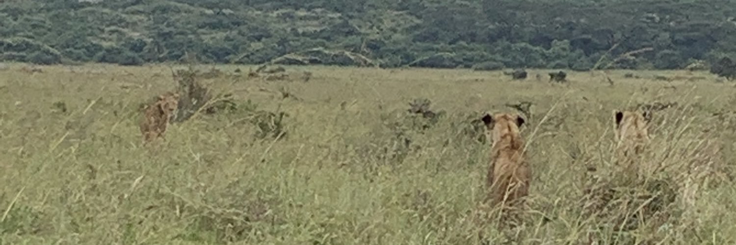 Michelle Malone banner