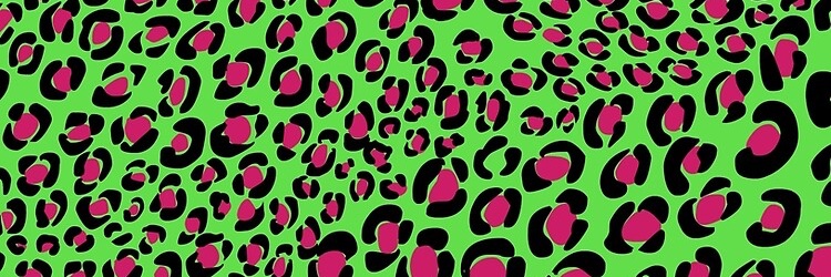 🌺🐆Ciara🌺🐆 banner