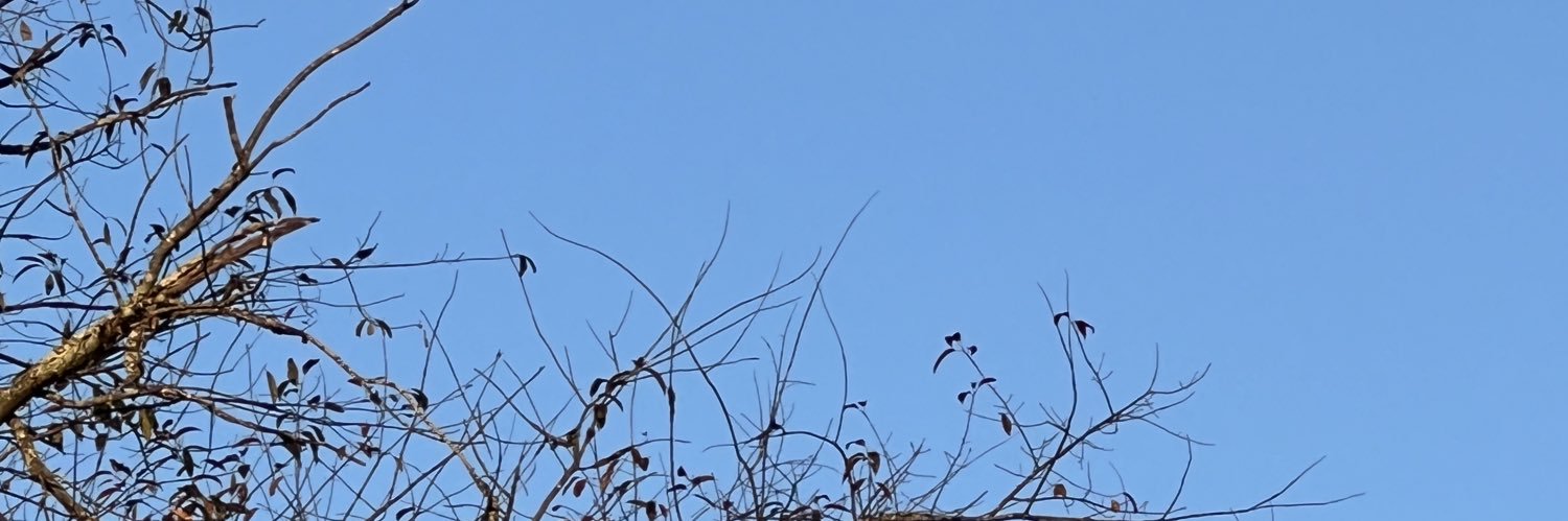 ExtraMediumBrew's profile banner image