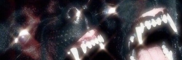 SlyFvck's profile banner image