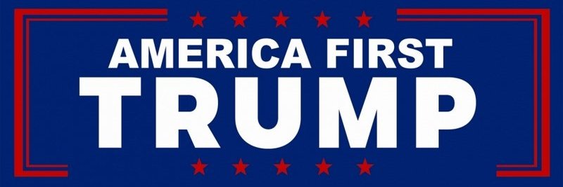 TRUMP MAGA MONTANA banner