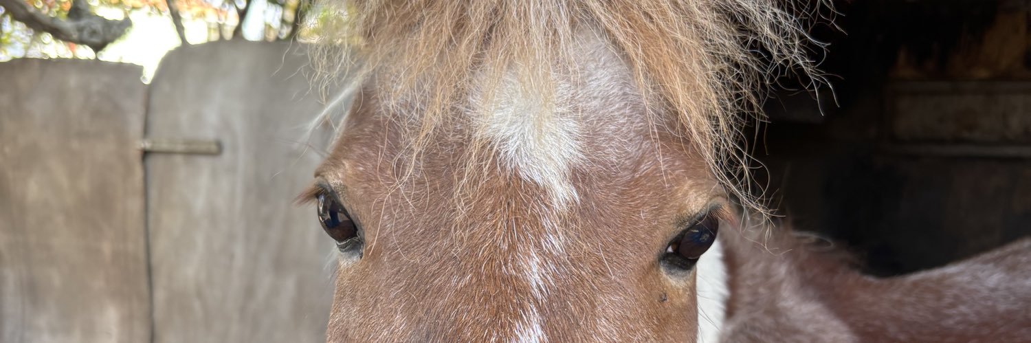 俺は近親相姦をして鬼殺隊から追放された banner