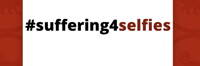 www.suffering4selfies.org banner