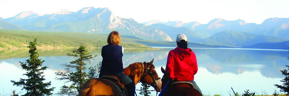Yellowhead County banner