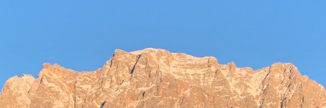 lottatato banner