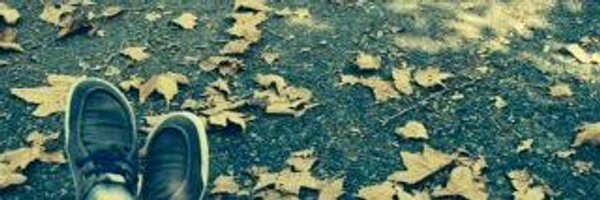daniellesacks Profile Banner