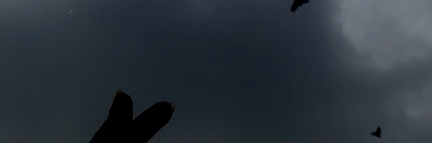 yourfavraroaa's profile banner image