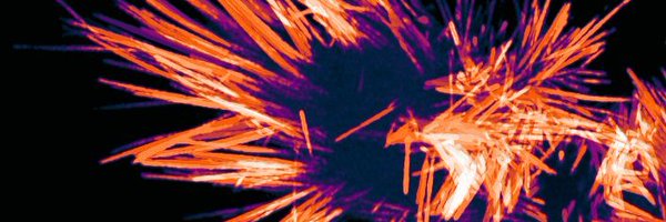 machesky_lab Profile Banner