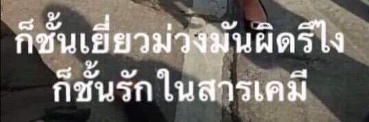 เจ๋น อิวาโทบิ banner