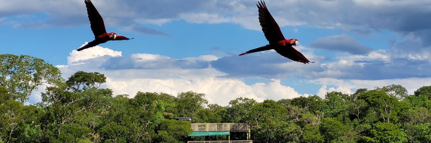 Carol Mello 🇾🇪 banner