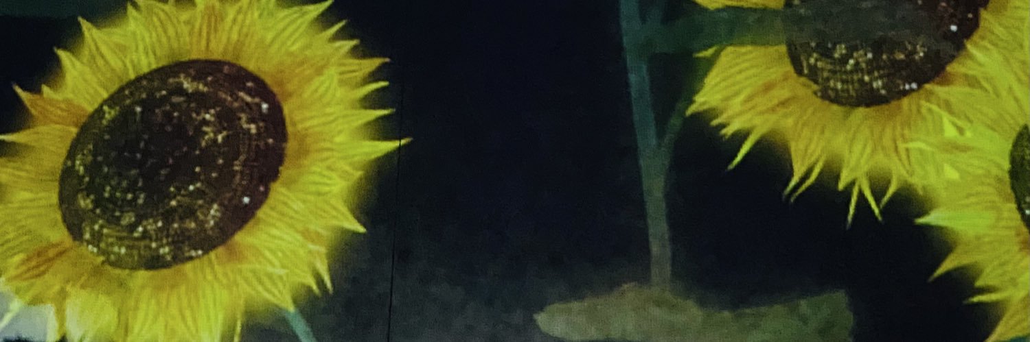 Sho banner