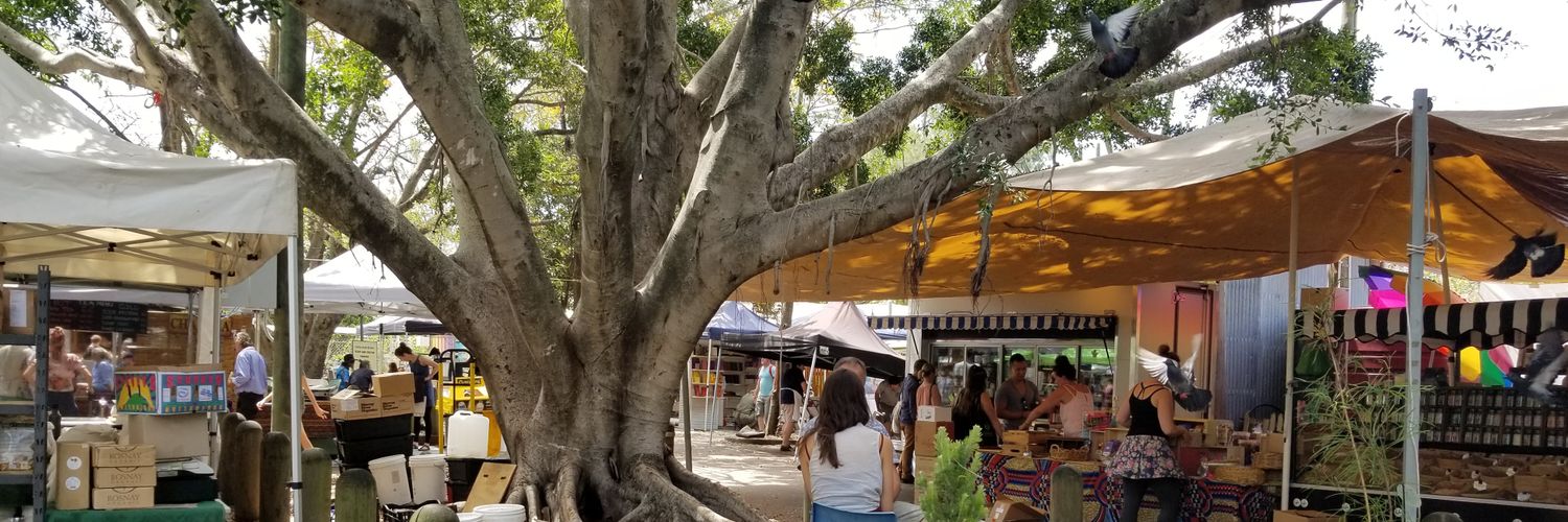 Nonessentiales1's profile banner image