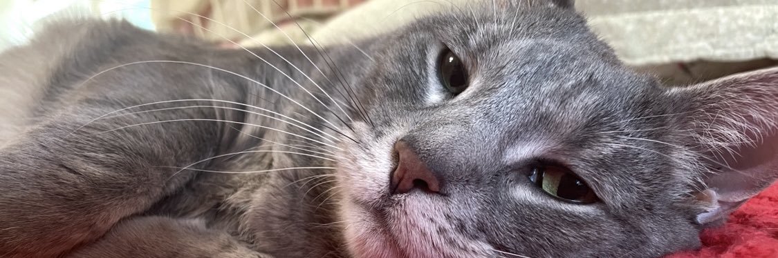 michnormakrause's profile banner image