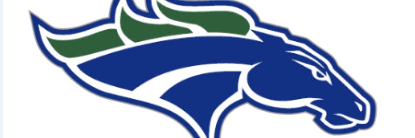 Stallion Activities banner