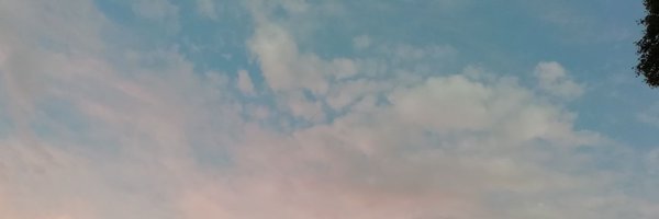 CrossinghamFam1 Profile Banner