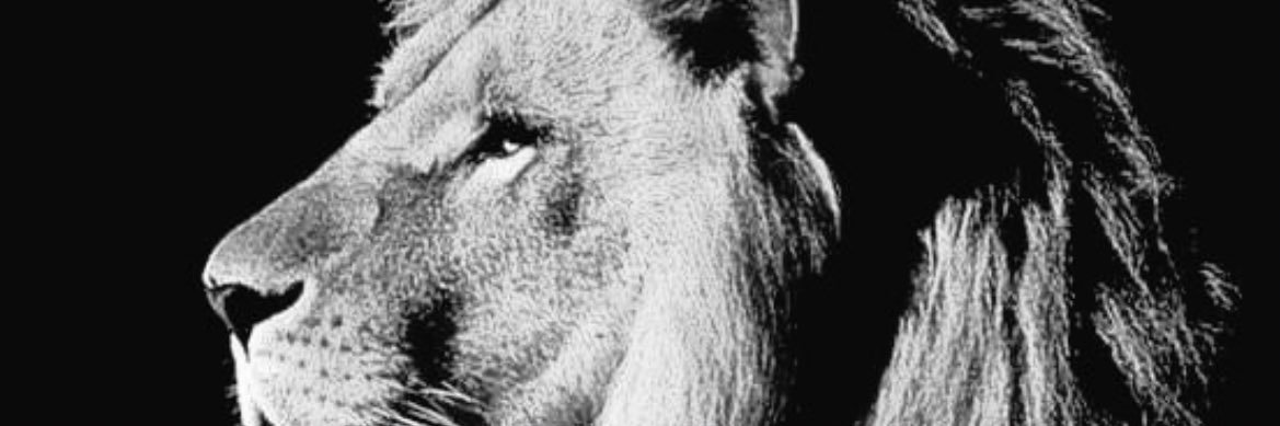 lspjekcm's profile banner image