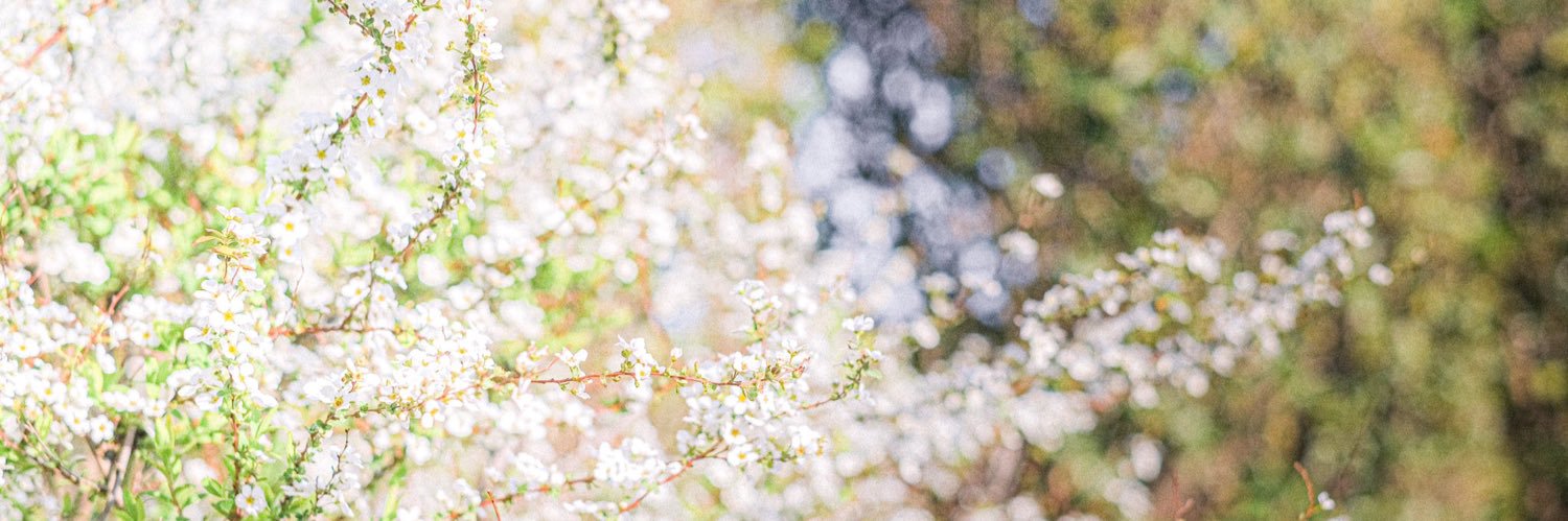 Pc91s's profile banner image