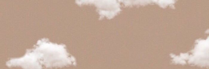 blushofaurora's profile banner image