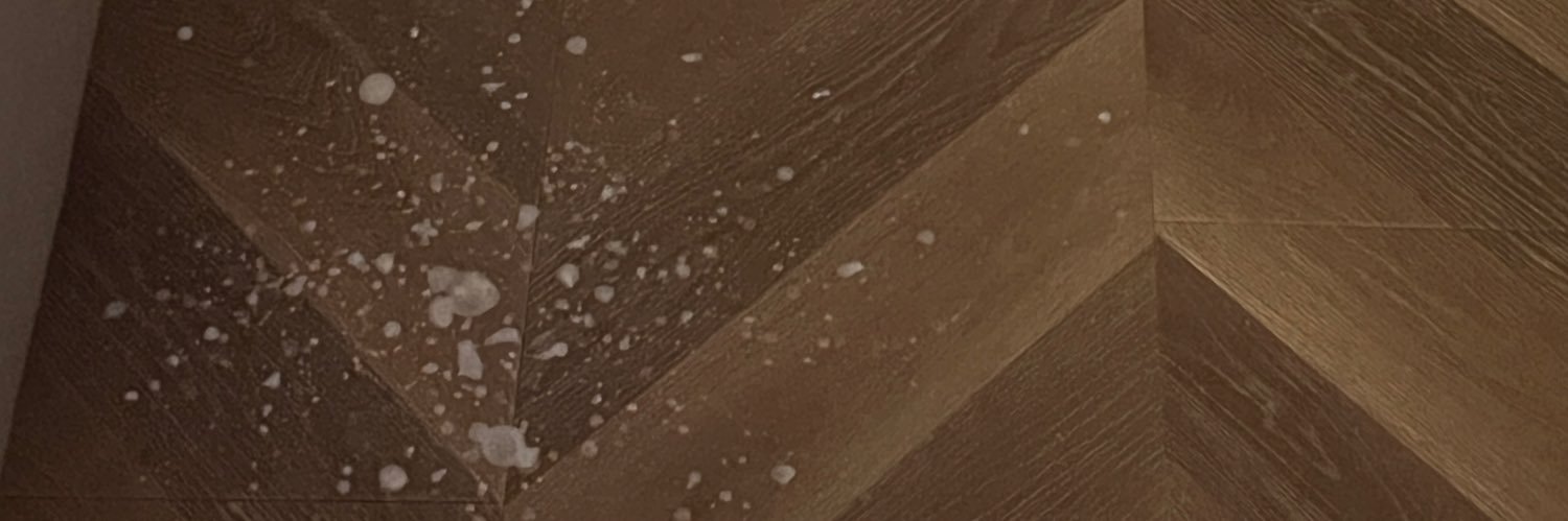 张困困(西安） banner