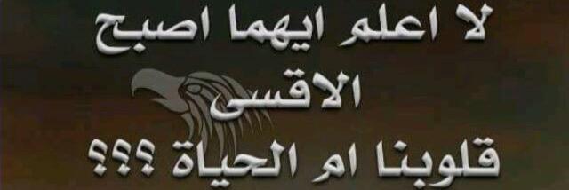 Meedi_Ah's profile banner image
