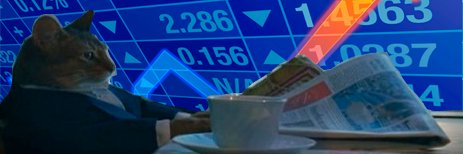 BusinessCat0's profile banner image