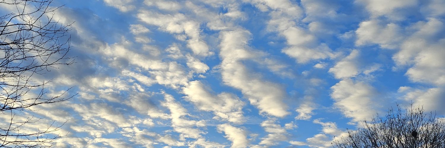 Nan 🌏🕊️ banner