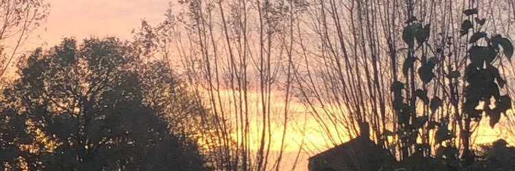yenteke1's profile banner image