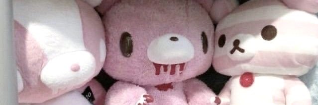 𐔌 . ⋮ karolina .ᐟ ֹ ₊ ꒱ banner