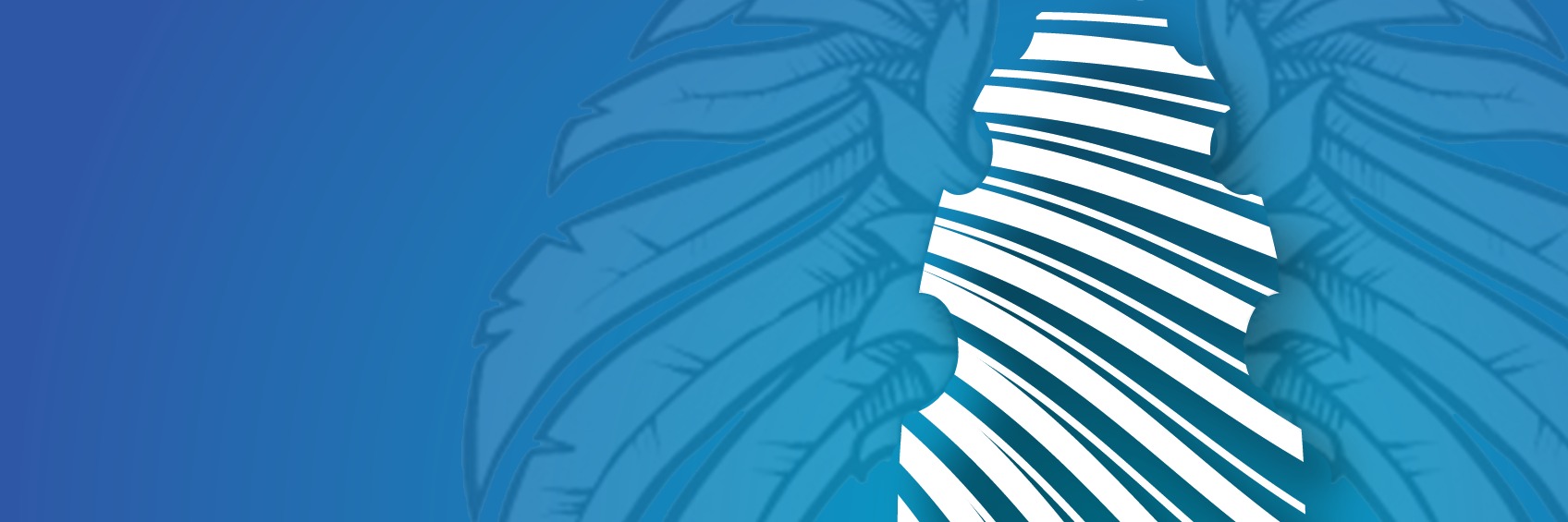 FrannUlrich's profile banner image