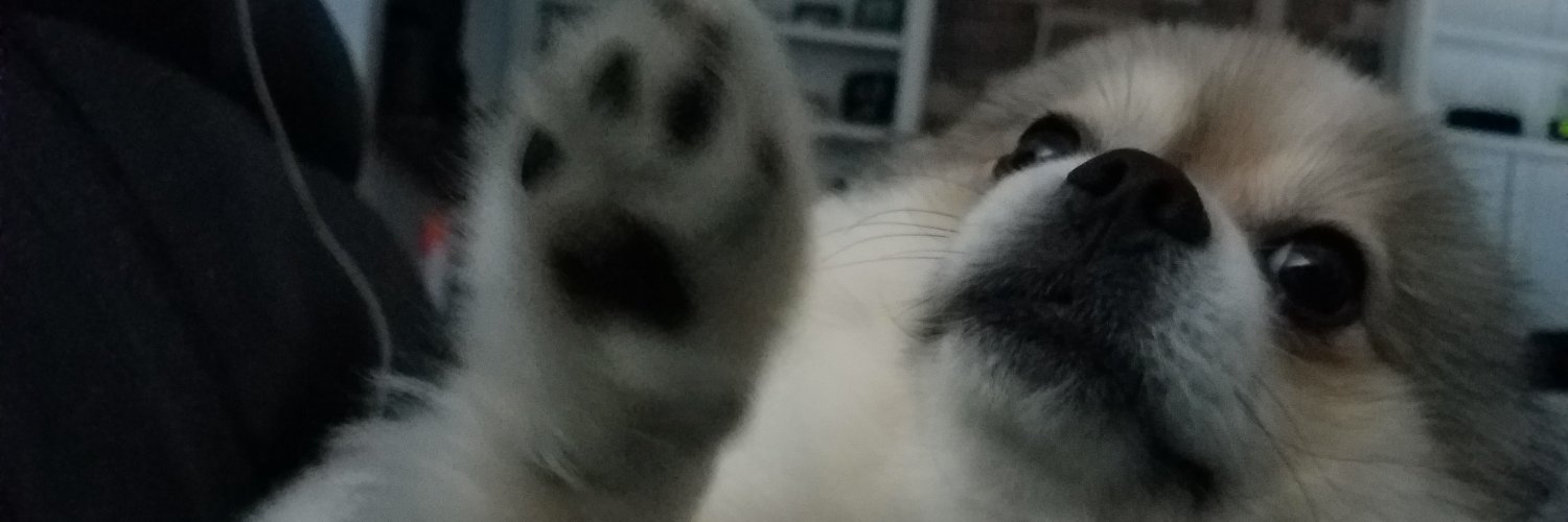 Nintevan's profile banner image
