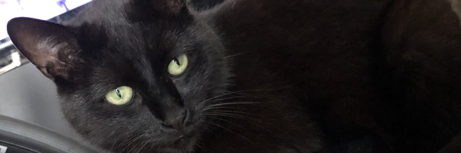 zocalo76's profile banner image