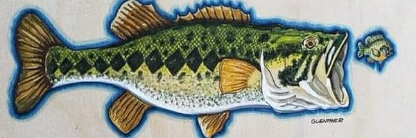 guenthergraphic Profile Banner