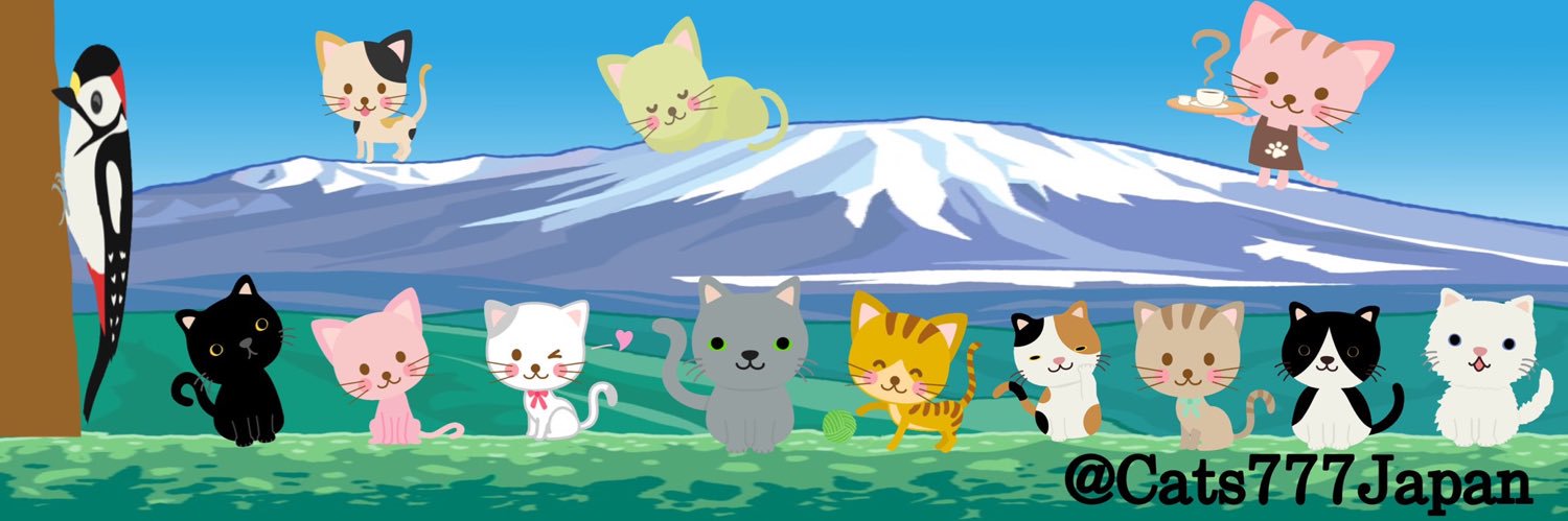 Cats777Japan's profile banner image