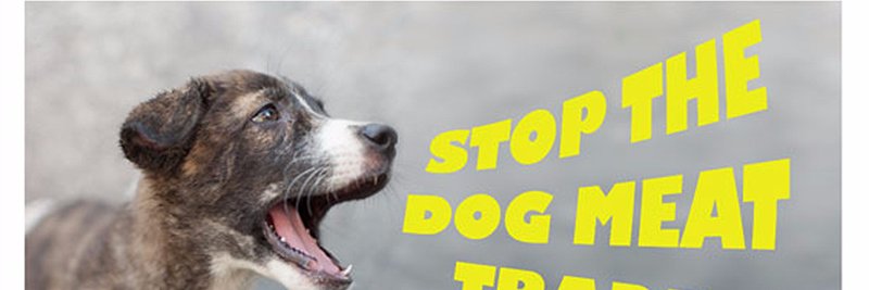 #StopYulin2024 banner