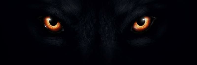 Indian_two's profile banner image