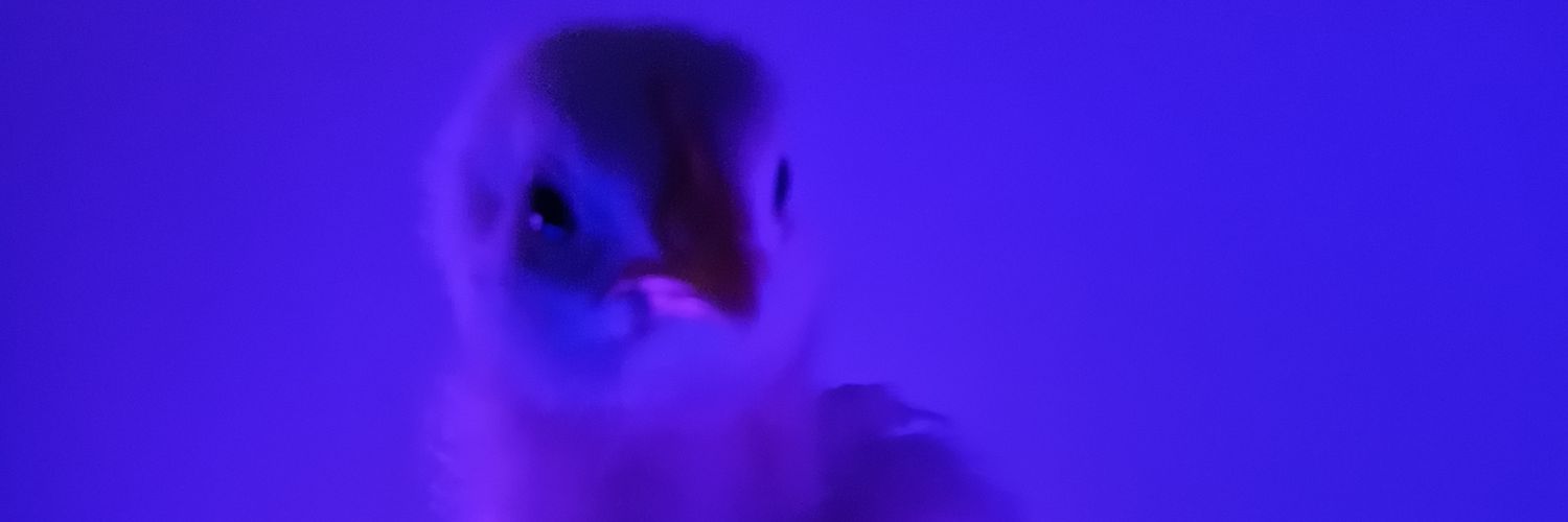 berr4gc's profile banner image