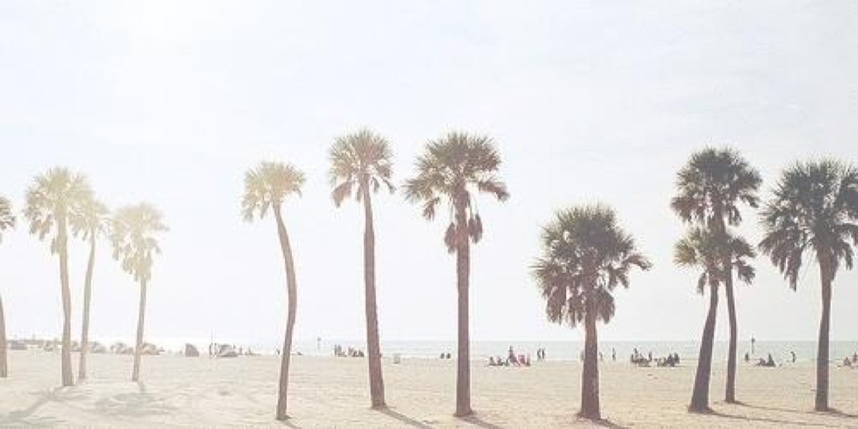 _AriMichelle_'s profile banner image