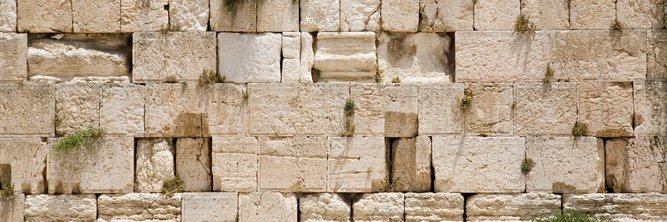 תהילים בוט banner