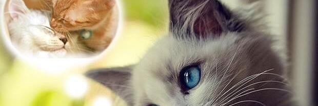 Nadiaaaspb_'s profile banner image