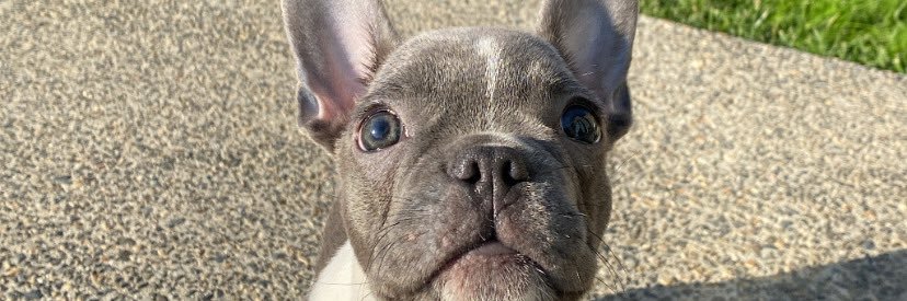 DeniseeTl's profile banner image