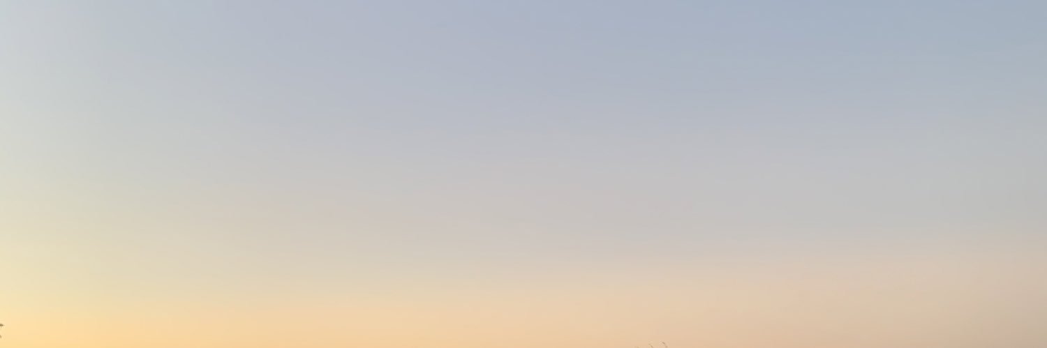 juanabaudrix's profile banner image