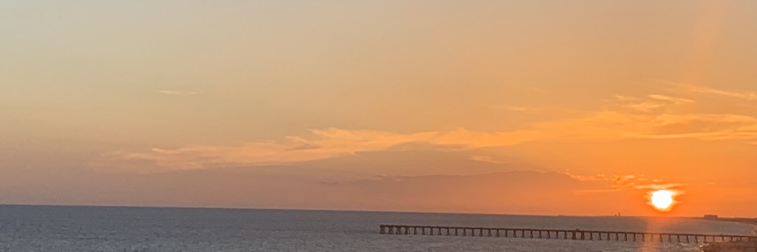 miezzi89's profile banner image