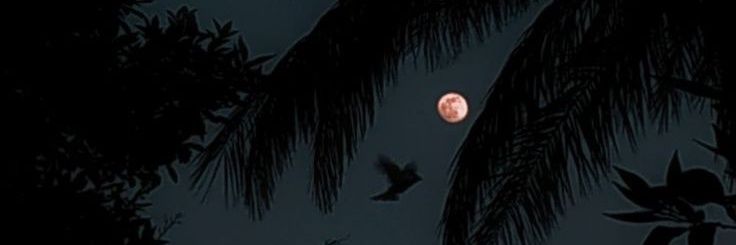 d7brakat's profile banner image