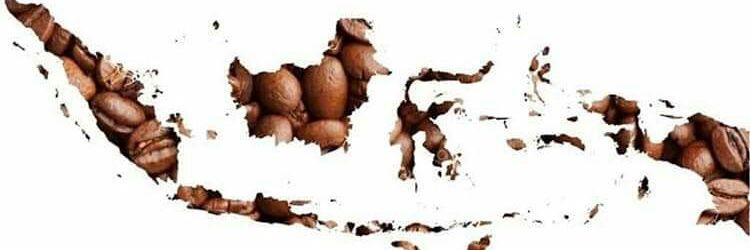 trie_hary's profile banner image