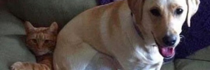 berroooos's profile banner image